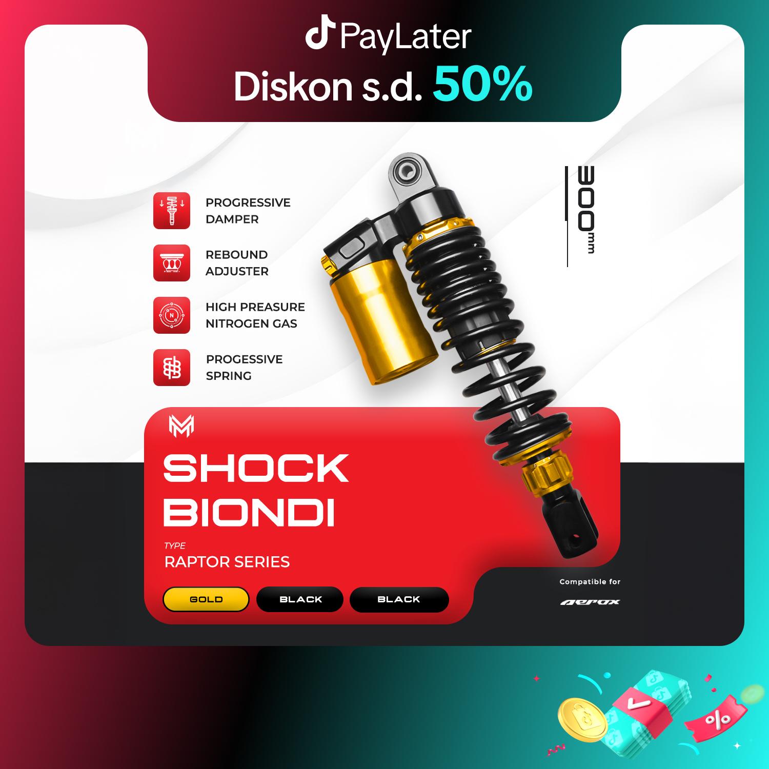 BIONDI - RAPTOR Series: AEROX ORIGINAL 100% PREMIUM SUSPENSION 300MM